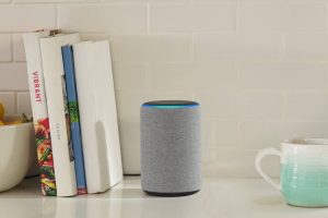 Gray Amazon echo along with a few books and a coffee mug on the desk