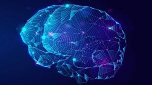 A stylized illustration of a brain in a blue hue.