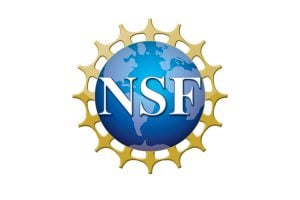 The National Science Foundation logo.