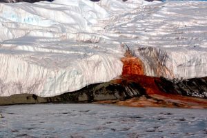 Blood Falls seeps from the end of the Taylor Glacier into Lake Bonney