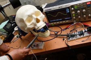An educational lab setup with a plastic skull model connected to electronic components on a breadboard, and an oscilloscope displaying a waveform.