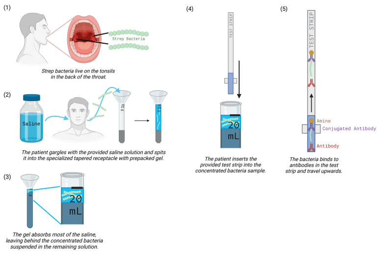 Sip, Spit, Scan: Students’ New Approach to At-Home Strep Testing ...