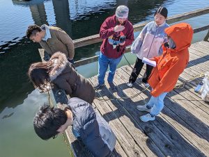 A group of students stand on a desk over the Chesapeake Bay, 3 peering over the side into the water. 