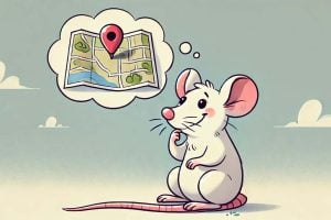 An illustration of a smiling mouse imaging a map.