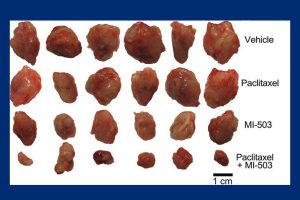 A chart of tumors showing the slowed progression of growth based on various treatments.