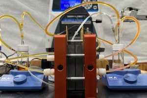 A photo of the full experimental system.