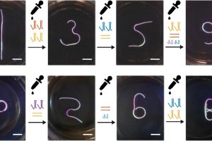 Photos of the gel numbers.