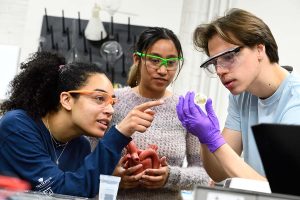 Three students in protective glasses examine an element of the heart value prototype. 