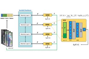 Flowchart of a deep learning model. Person images are split into patches, processed by stacked attention layers, and passed through modules that estimate mutual information. The outputs are combined to improve person re-identification accuracy.