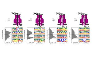 Diagram showing four Oxford Nanopore sequencing setups: two for DNA and two for RNA. Each shows a strand passing through a pore and a small graph of electrical current patterns. The figure compares how different pore types produce distinct signal profiles for DNA and RNA molecules.