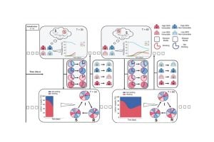 Diagram showing how socioeconomic groups balance work and infection risk over time, linking behavior, disease spread, and labor supply dynamics.