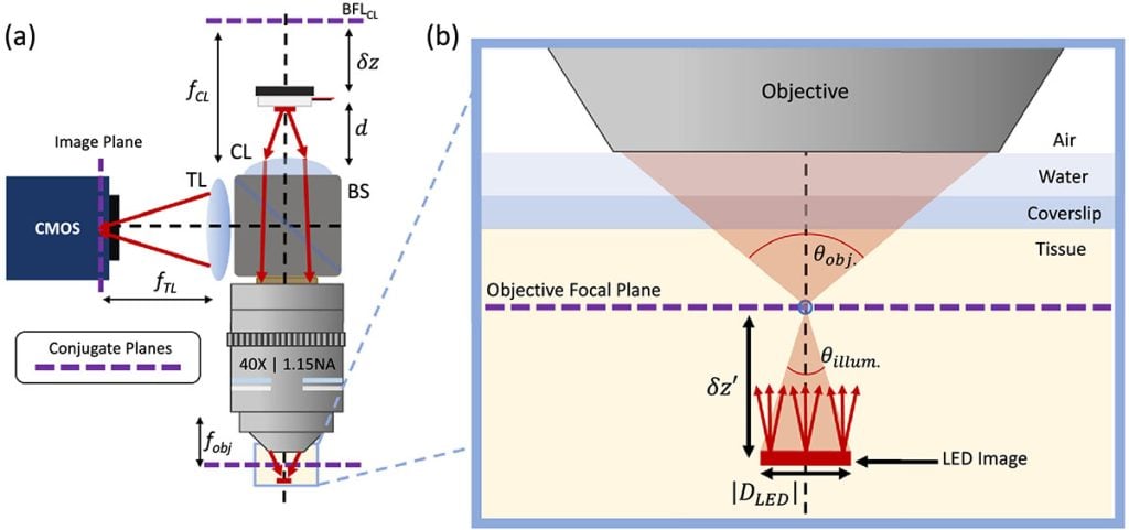 Diagram of the Back-Illumination Tomography microscope setup. The left panel shows the optical components directing light into tissue and collecting reflected light onto a camera. The right panel shows a zoomed-in view of the tissue, where a small virtual light source below the focal plane creates back-illumination that enhances contrast of cellular structures.