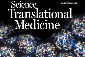Cover of Science Translational Medicine dated 28 January 2026, showing clusters of glowing, multicolored crystalline spheres against a black background, representing protective crystalline implants used in biomedical research.