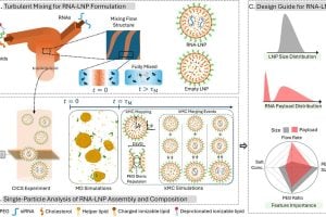 Diagram of RNA–lipid nanoparticle (LNP) formation and analysis. Lipid and RNA solutions mix under turbulent flow, forming both RNA-loaded and empty nanoparticles. The process is studied using experiments and simulations, and results show how formulation conditions affect LNP size and RNA payload distribution.